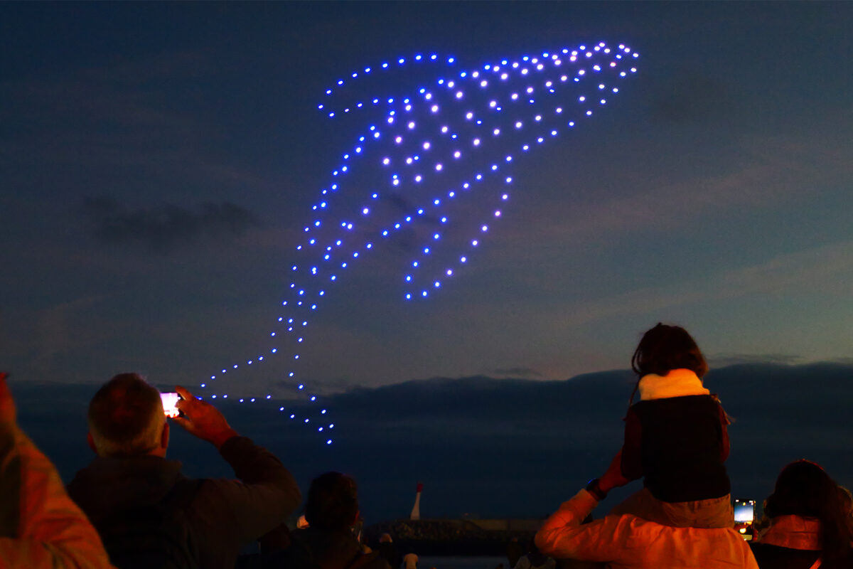 spettacolo di droni che formano una balena nel cielo