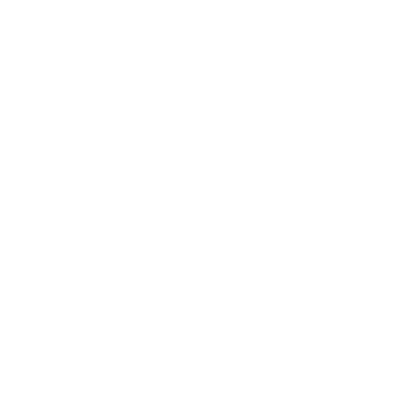 Allumee Klantlogo's