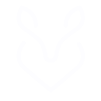 صورة_def_blanc_Allumee-2