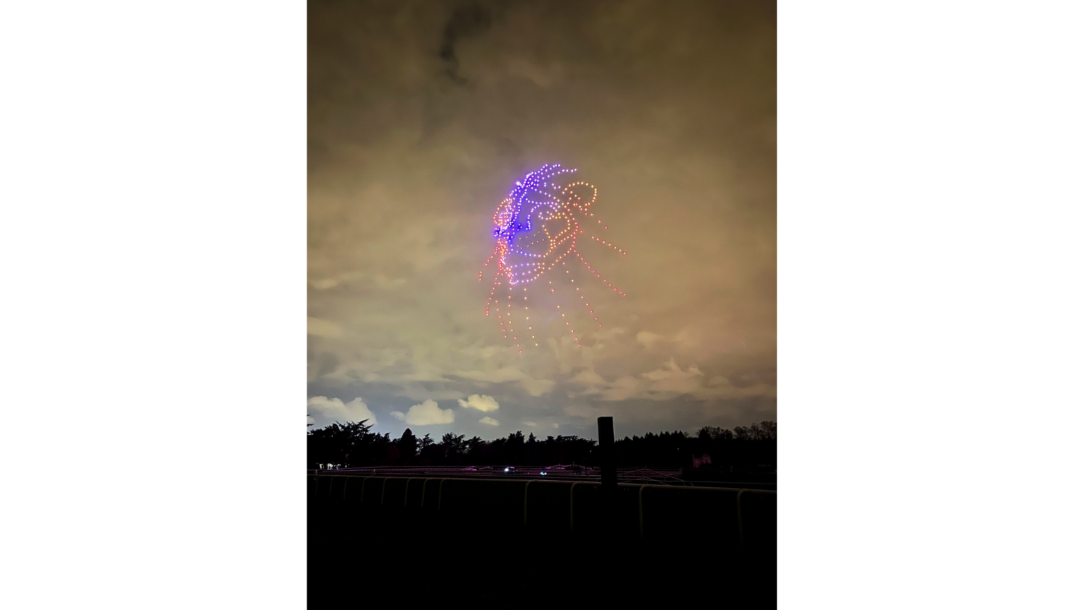 Performance drones vormen een leeuw