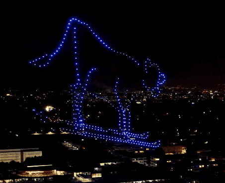 Schweizer Kuh trainiert während einer Drohnenshow