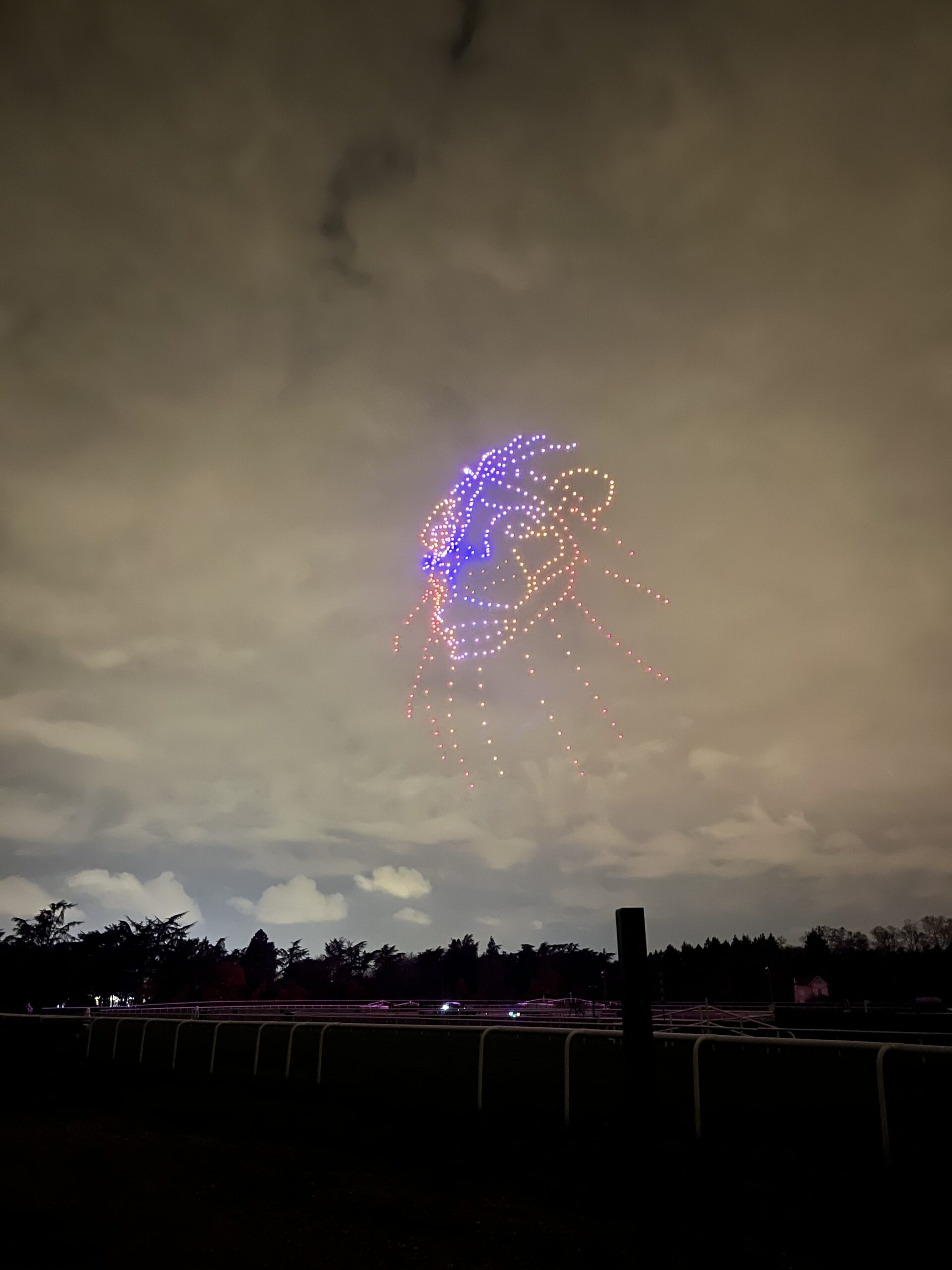 Löwengestalt am Himmel während einer Drohnenshow beim Lichterfest 2023