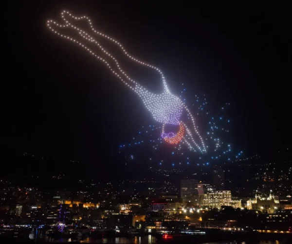 واو-ذا-بو-دايفر